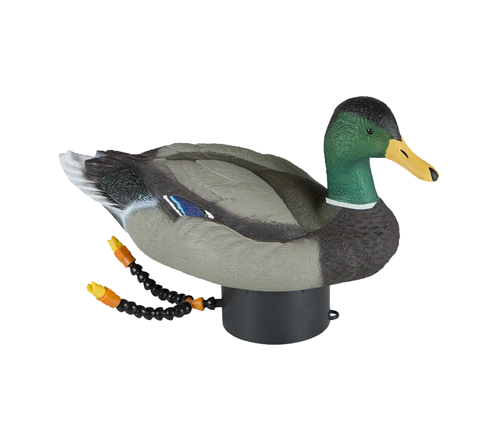 Duck Decoy for Hunting