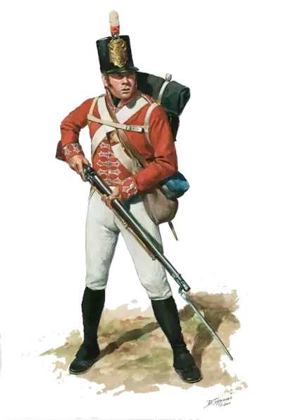 Historical Soldier with Rifle