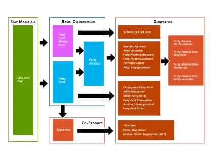 Oleochemical Process Flowchart