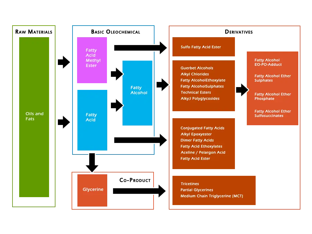 Oleochemical Process Flowchart