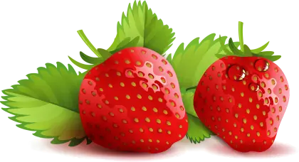 Red Strawberries with Green Leaves Illustration