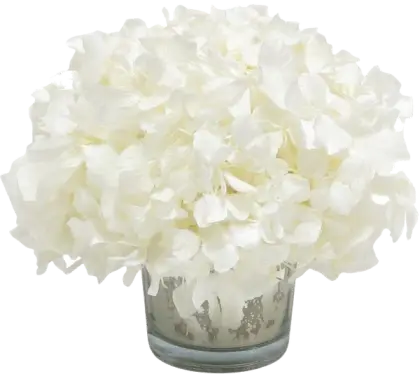 White Floral Arrangement in Vase