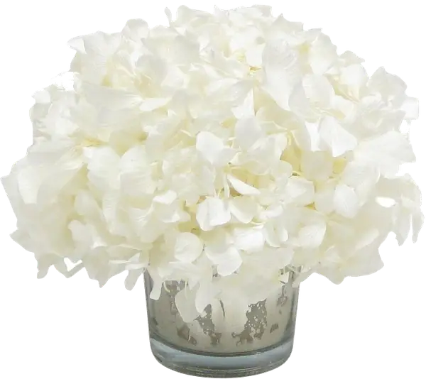 White Floral Arrangement in Vase