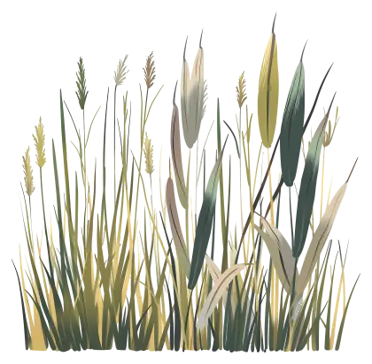 Wild Grass and Plants
