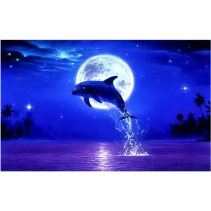 Dolphin Jumping at Night