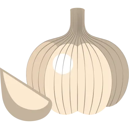 Illustration of Garlic Bulb
