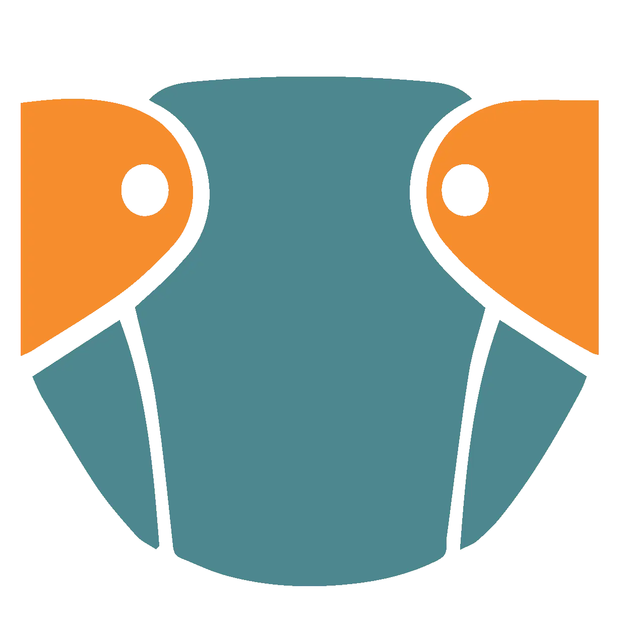 Baby Diaper Icon