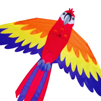 Colorful Parrot Kite Illustration
