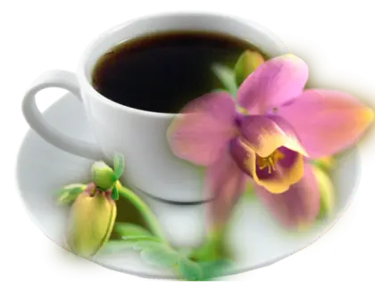 Coffee Cup with Flowers