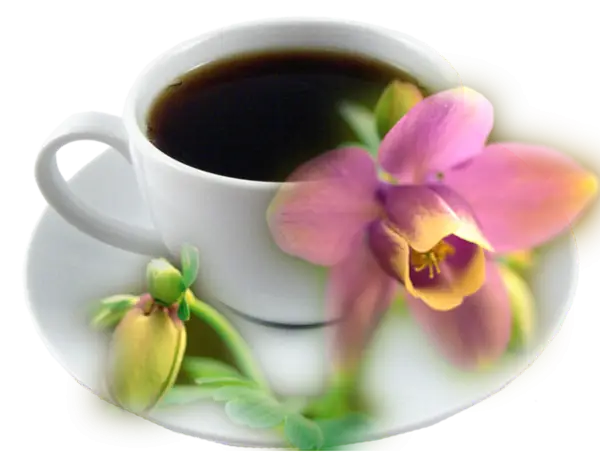 Coffee Cup with Flowers