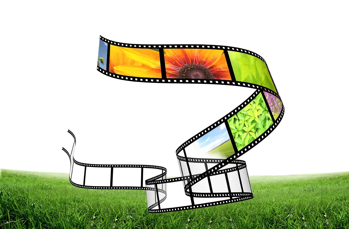 Film Strip with Nature Photos