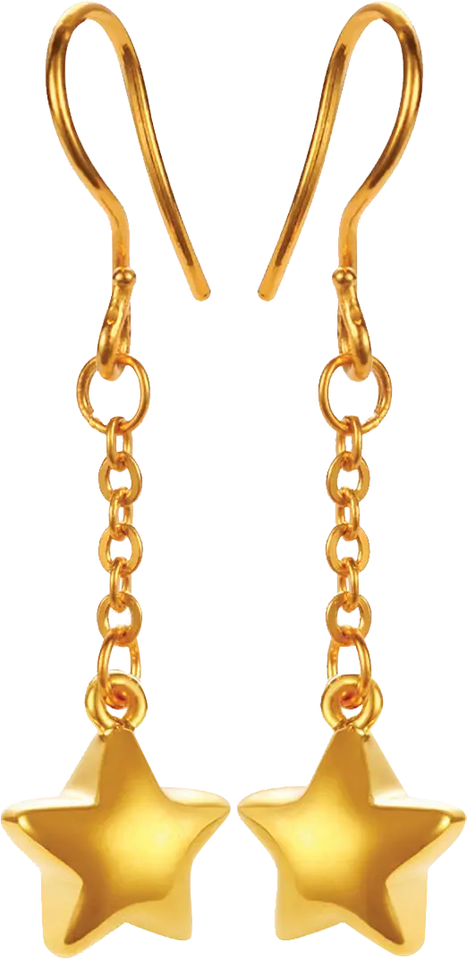 Gold Star Earrings