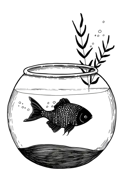 Black Fish in a Bowl Illustration