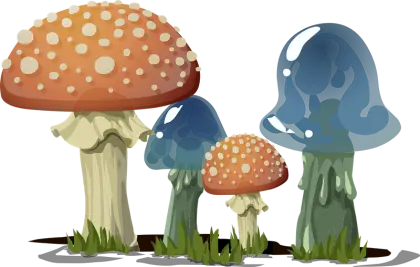 Mushroom Cluster Illustration