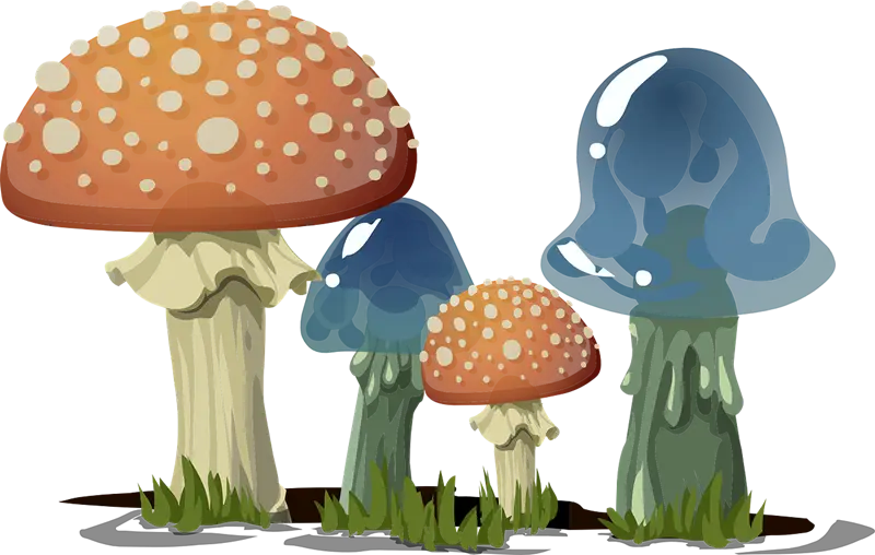 Mushroom Cluster Illustration