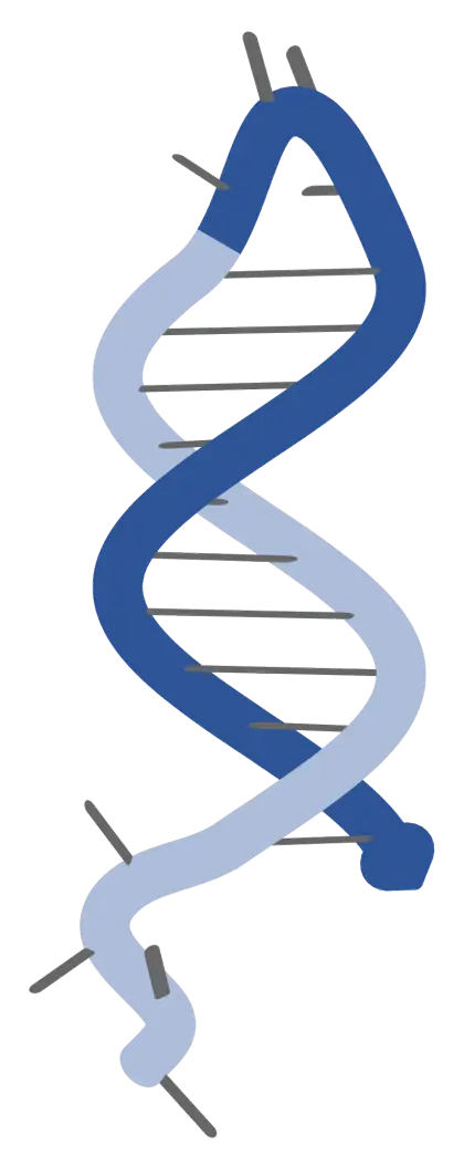 Blue Double-Helix DNA Strand Illustration