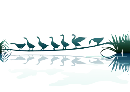 Geese by the Water