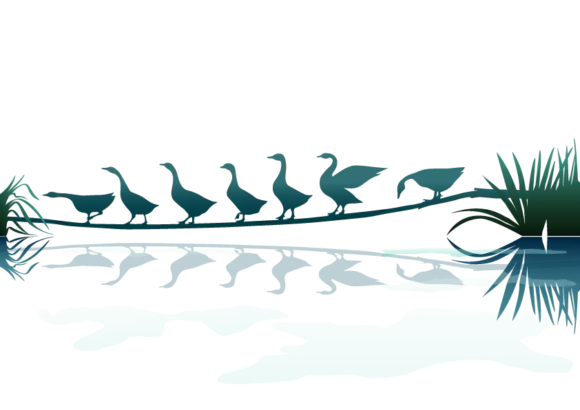 Geese by the Water