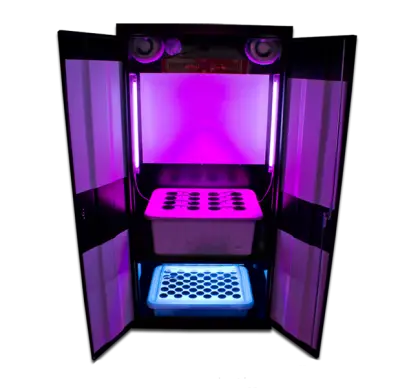 Hydroponic Grow Box with LED Lights