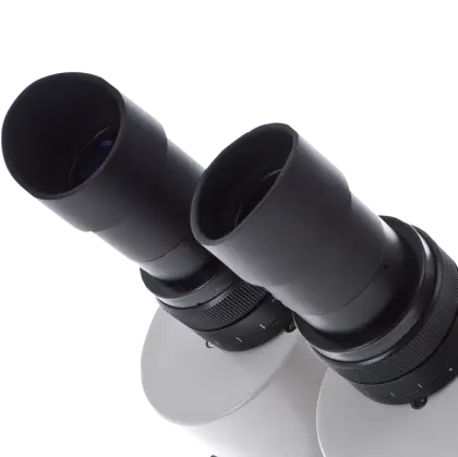 Microscope Eyepieces for Scientific Research