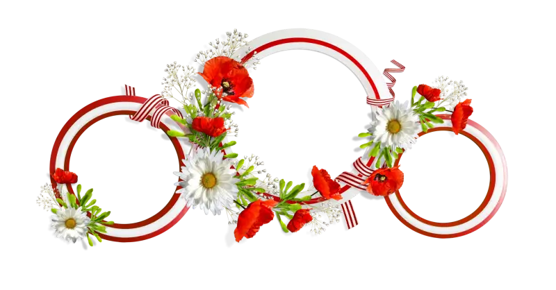 Decorative Floral Frame