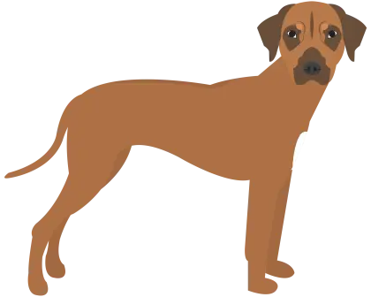 Standing Brown Dog Illustration