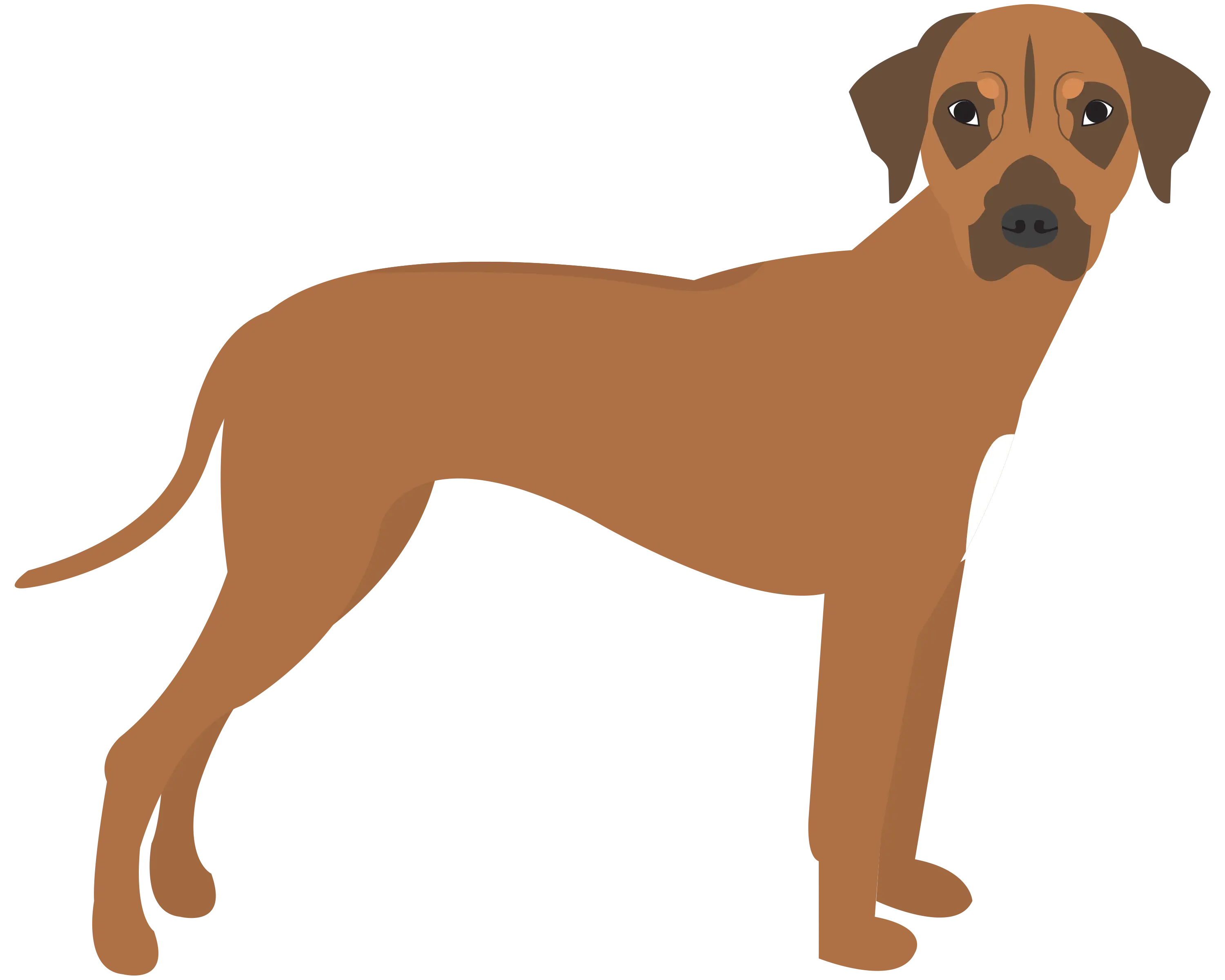Standing Brown Dog Illustration