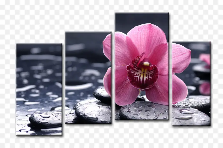 Pink Flower Canvas Art