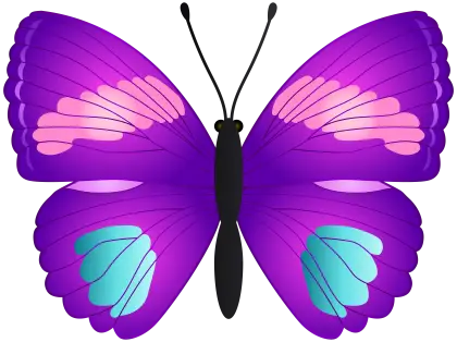 Purple Butterfly Illustration