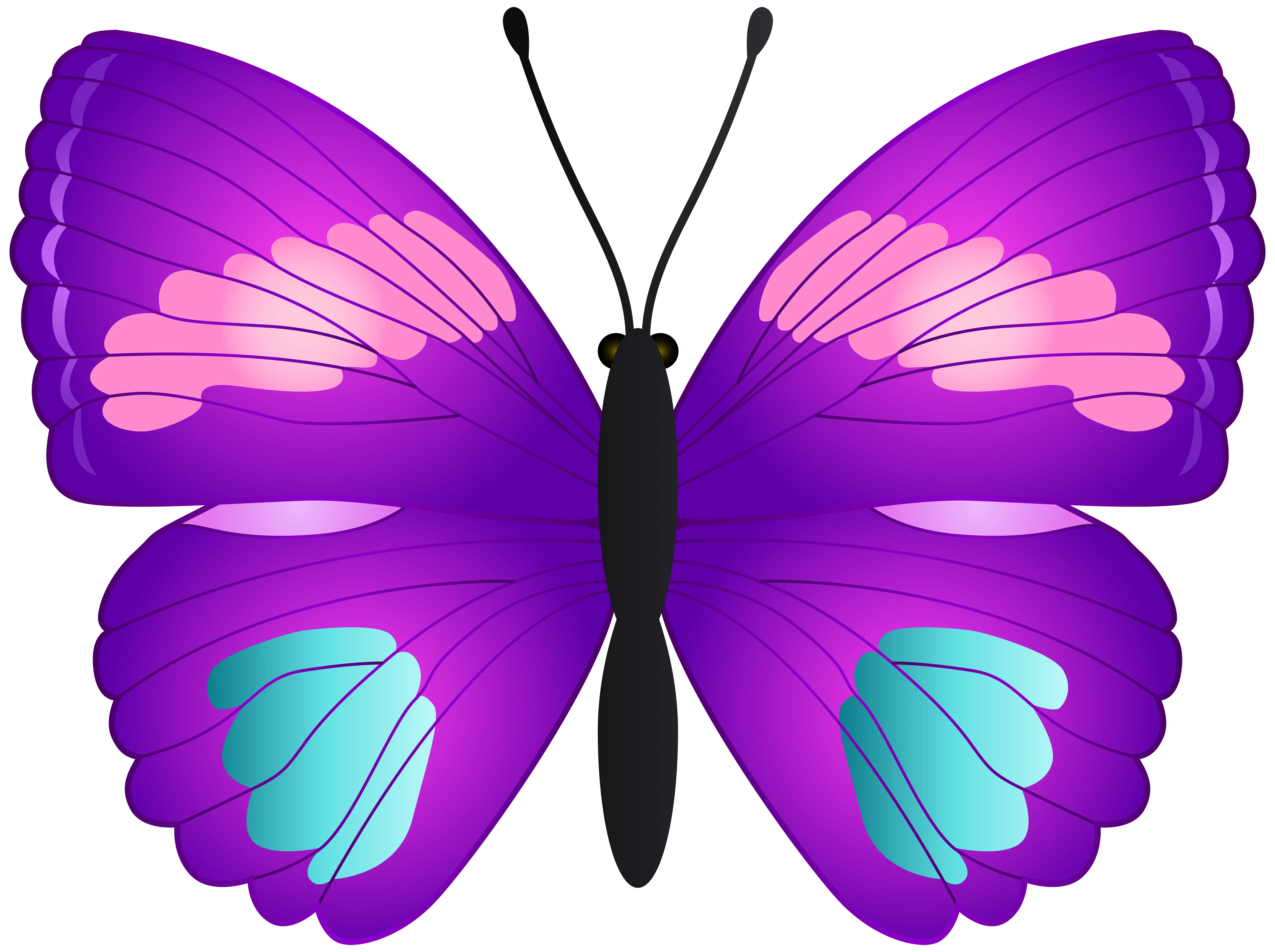 Purple Butterfly Illustration