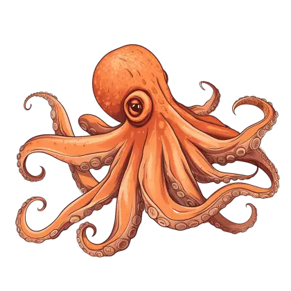 Orange Octopus Illustration