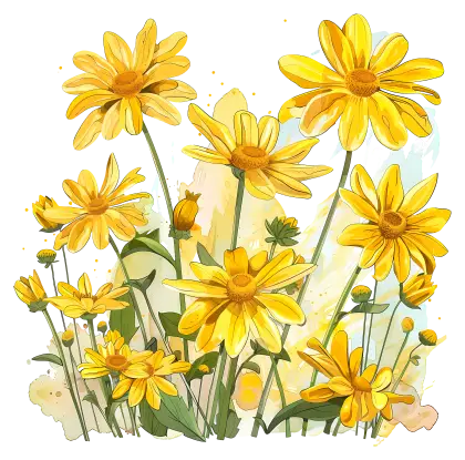 Yellow Flowers in Bloom