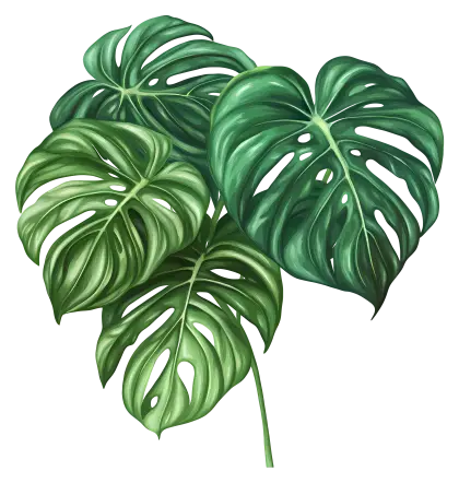 Lush Green Tropical Leaves