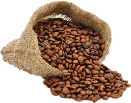 Burlap Bag Filled with Fresh Coffee Beans