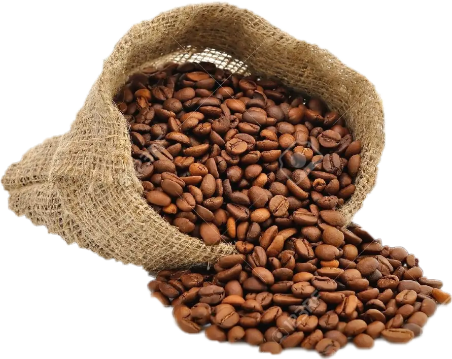 Burlap Bag Filled with Fresh Coffee Beans