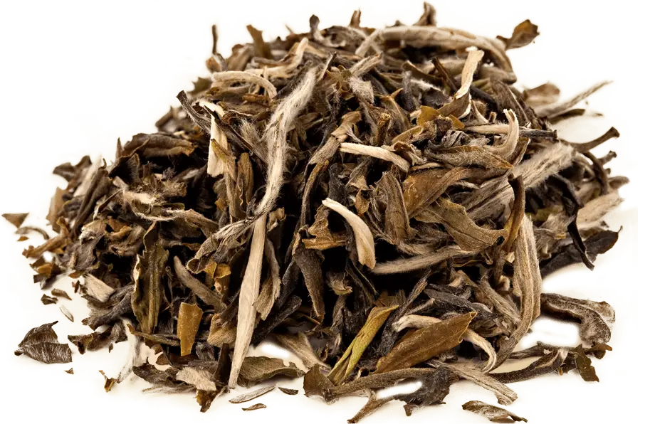 Dried Tea Leaves