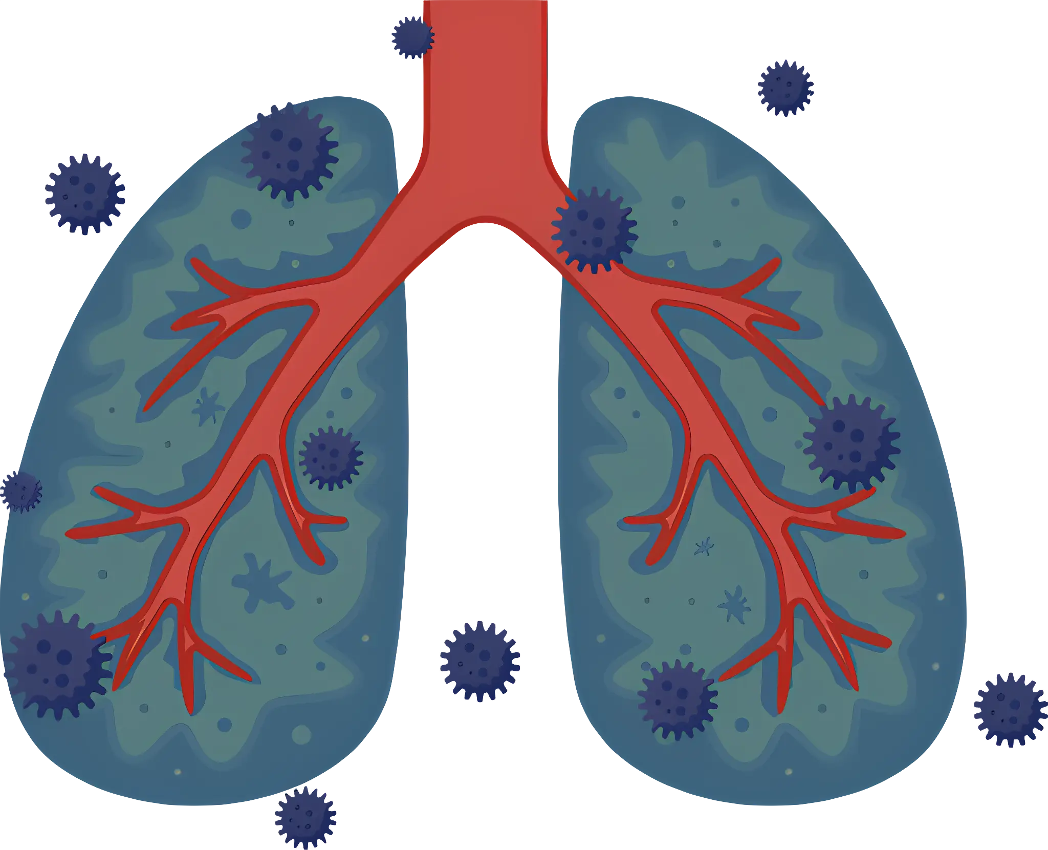 Illustration of Infected Lungs and Virus Particles
