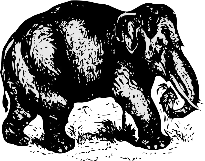 Black and White Elephant Sketch
