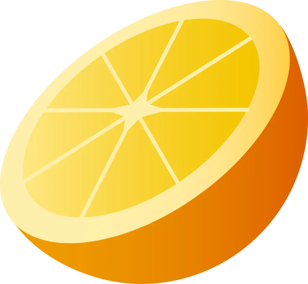 Illustrated Orange Slice in Flat Style