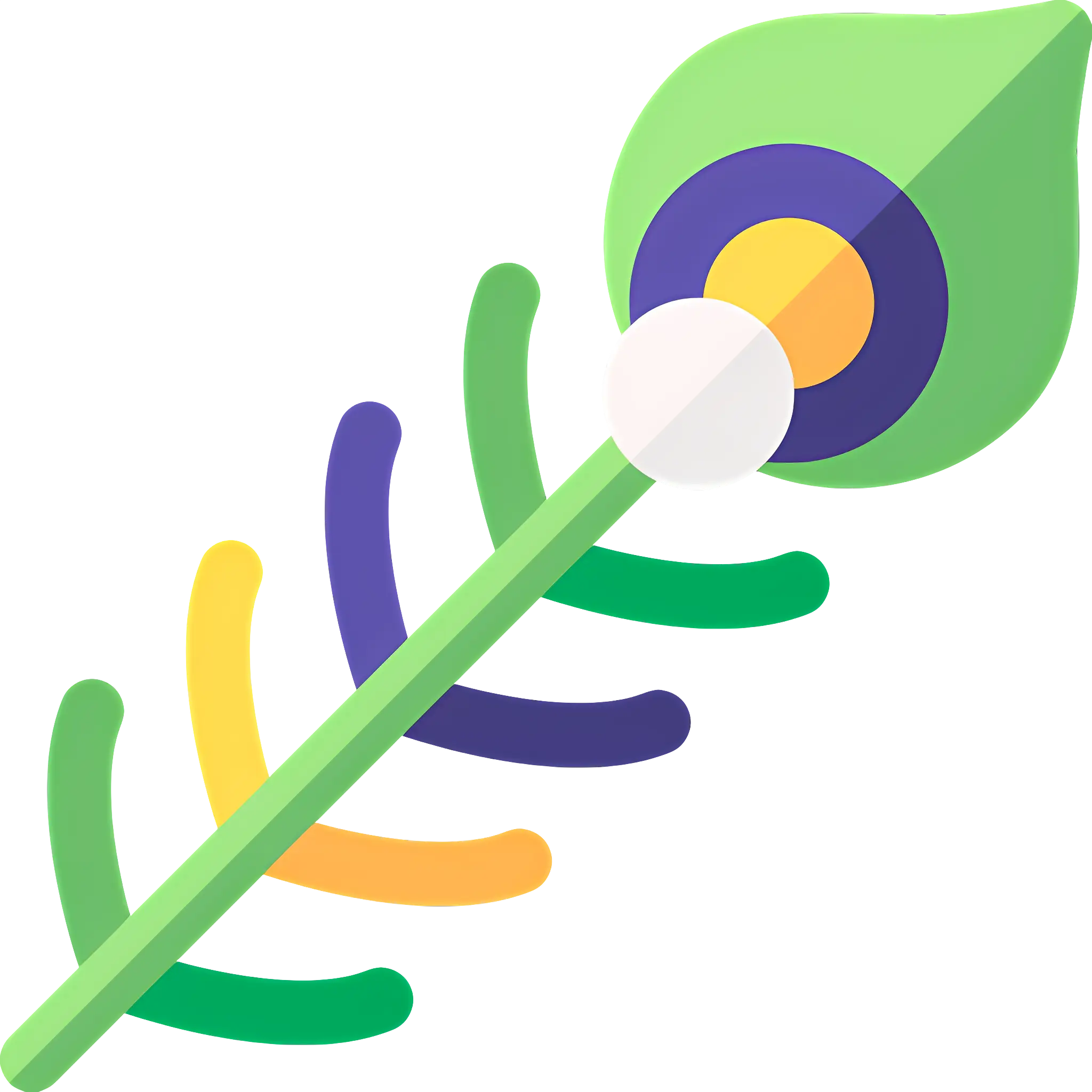 Colorful Peacock Feather