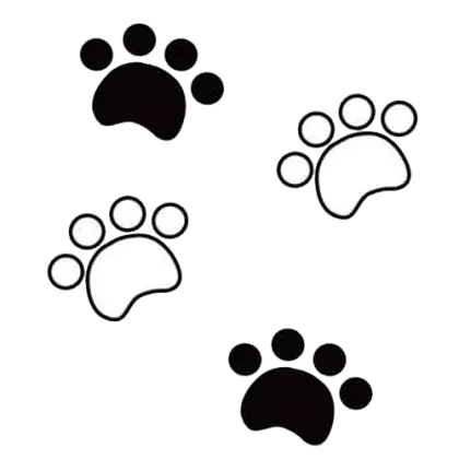 Black and White Paw Prints