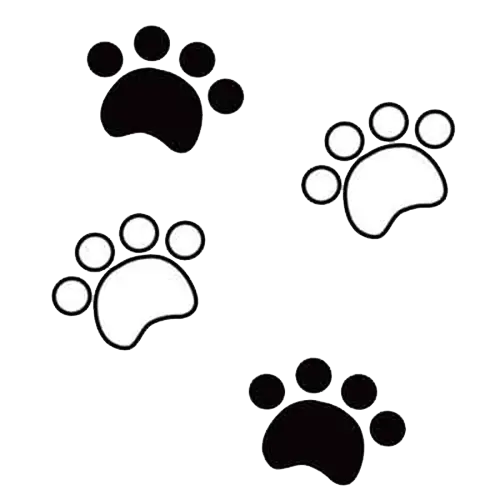 Black and White Paw Prints