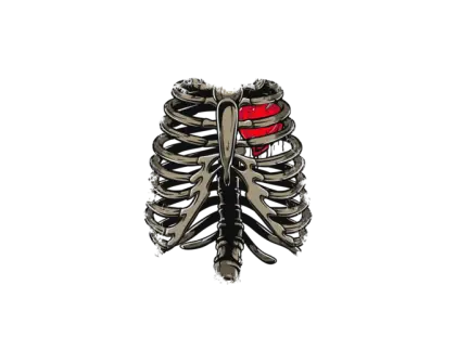 Rib Cage with Heart Illustration