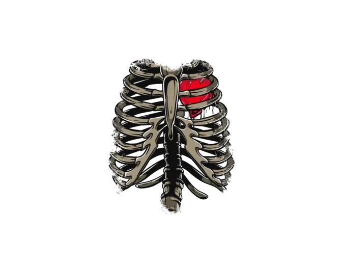 Rib Cage with Heart Illustration
