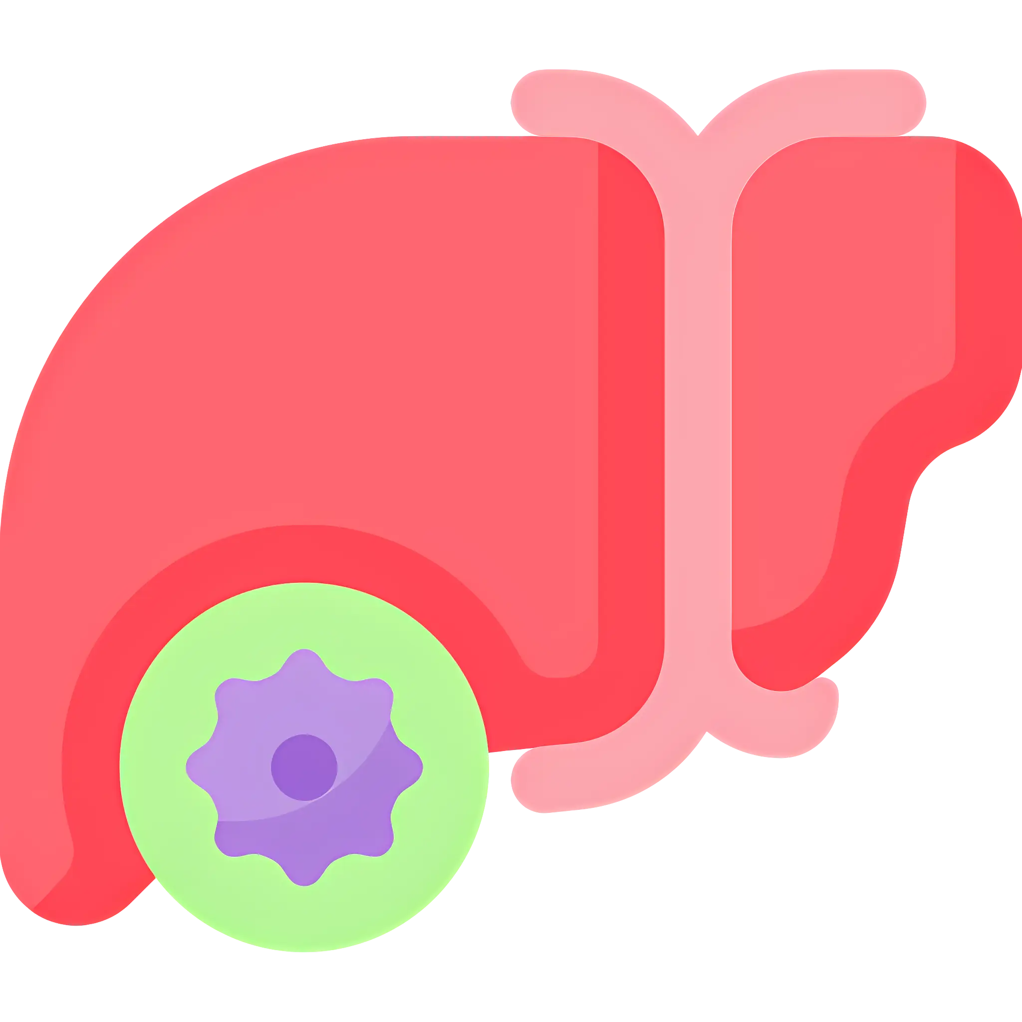 Liver with Virus Illustration