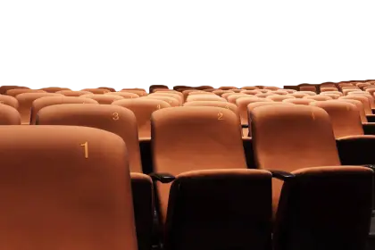 Rows of Comfortable Theater Seats