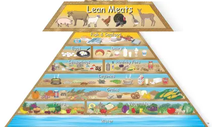 Colorful Food Pyramid Diagram