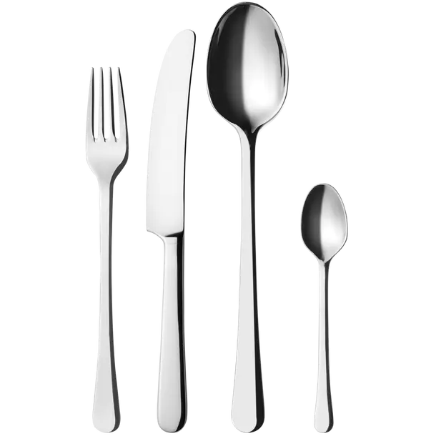 Elegant Stainless Steel Cutlery Set