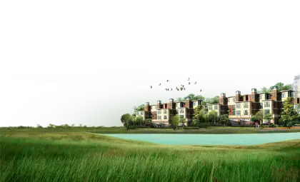 Residential Area with Greenery