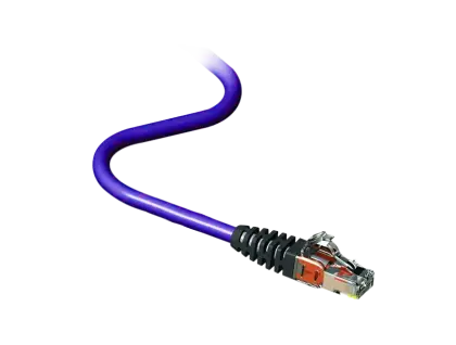 Purple Ethernet Cable for Networking